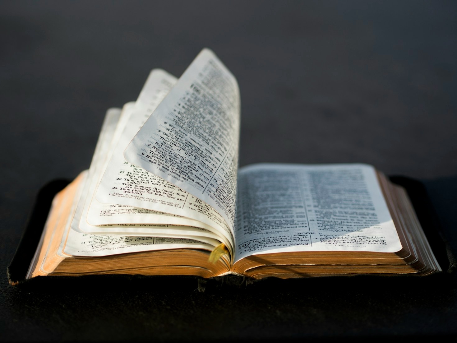 10 Bible Verses to Start Your Day Right