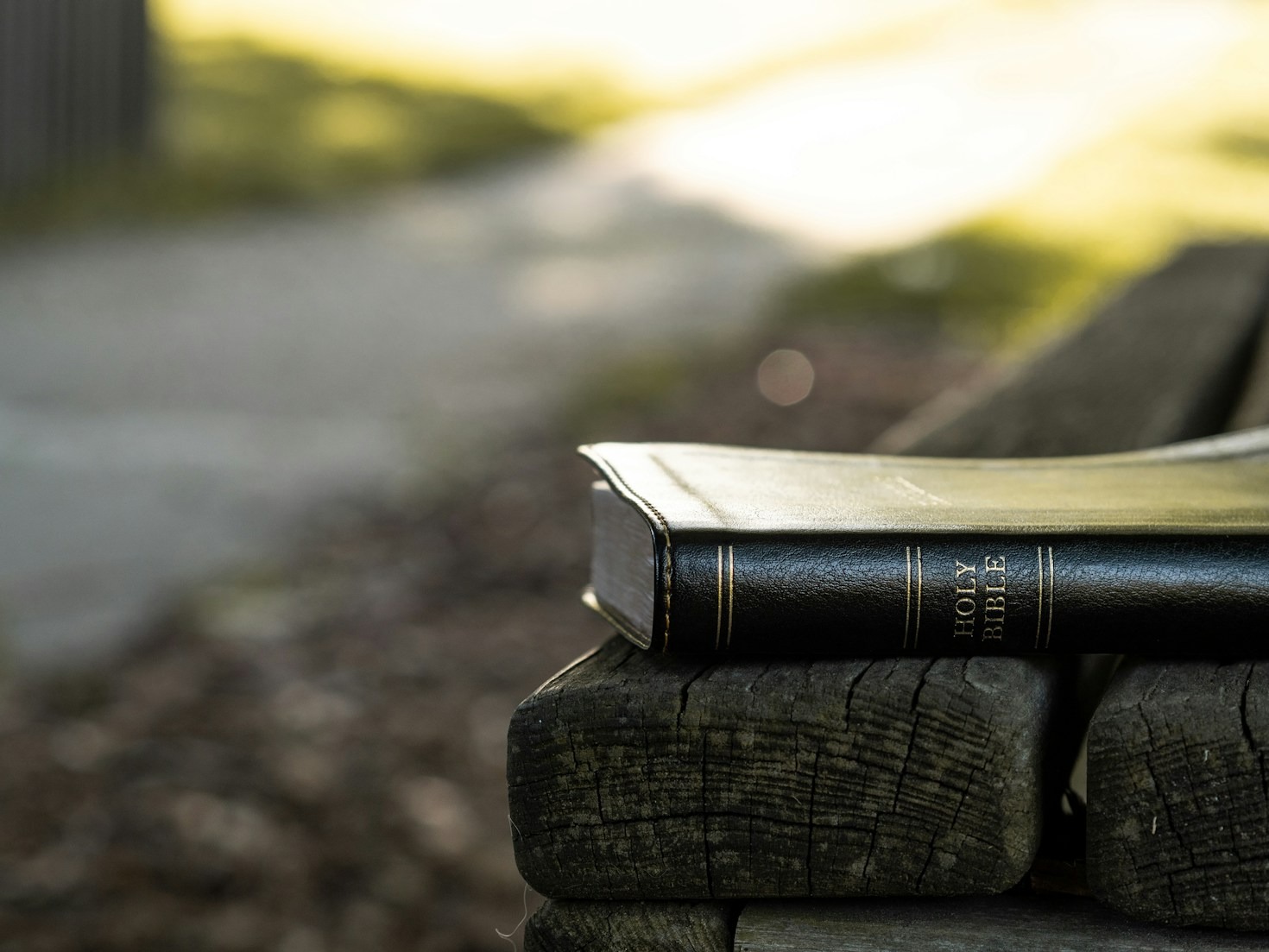 How Daily Devotionals Can Transform Your Life